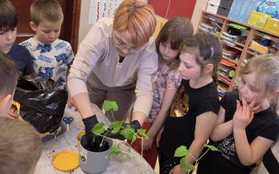 Muchomorki ogrodnikami